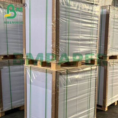 30 - 90 g fettdichtes, doppelseitig beschichtetes Silicone Backpapier