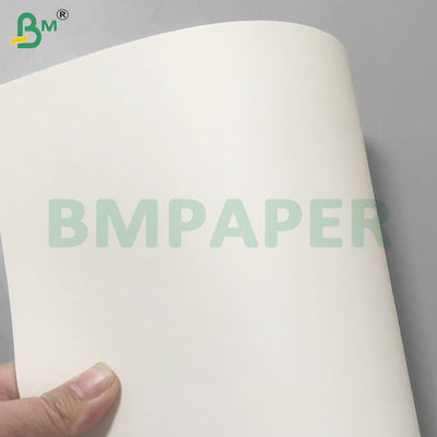 PE-beschichtete, undicht zu trinkende Tassenpapierrollen 190 gm+10 gm