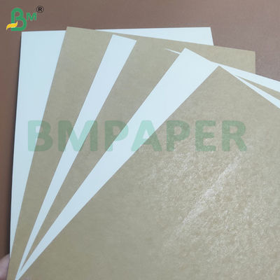 PE-beschichtetes Schüsselpapier mit glatter Oberfläche für nachhaltige Verpackungen