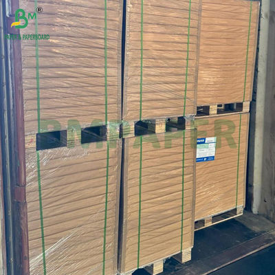 40GSM Fettdichtes Backpapier zur Verpackung von Sandwiches