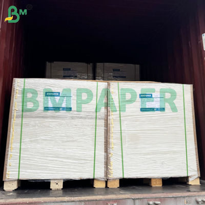BMPAPER Flüssigkeitsdichtes, mit PE-Beschichtung laminiertes, weißes und braunes Becherpapier
