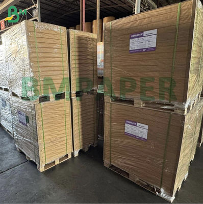 CB CFB CF Mehrfarbiges, kohlenstofffreies NCR-Papier 8,5'*11'