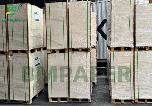300 g 350 g 900 mm 1000 mm beschichtetes Lebensmittelpapier SBS für Lebensmittelverpackungen
