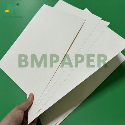 300 g 350 g 900 mm 1000 mm beschichtetes Lebensmittelpapier SBS für Lebensmittelverpackungen