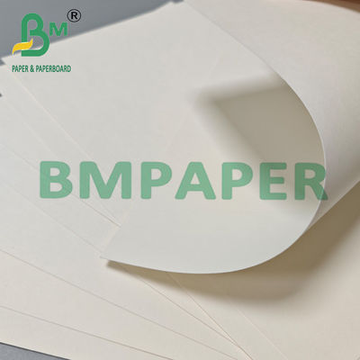 210 gm 230 gm Biologisch abbaubares Heißkaffee-Tee-Tasse-Papier Rohstoff