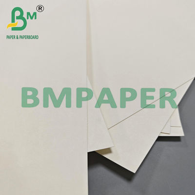 210 gm 230 gm Biologisch abbaubares Heißkaffee-Tee-Tasse-Papier Rohstoff