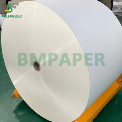 240 gm + 18 g PE beschichtetes Becherpapier für Tray-Matten wasserdicht 650 mm