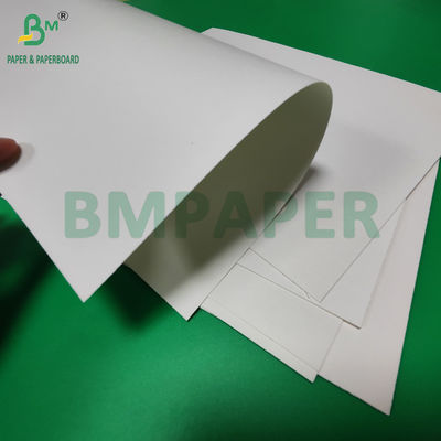 240 gm + 18 g PE beschichtetes Becherpapier für Tray-Matten wasserdicht 650 mm