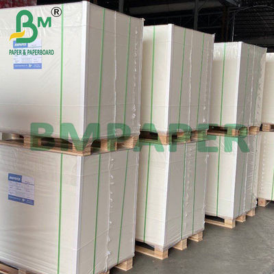 250 g + 20 g Becher-Basis-Papier Einseitige PE-beschichtete Platte 70 * 100cm