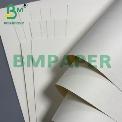 250 g + 20 g Becher-Basis-Papier Einseitige PE-beschichtete Platte 70 * 100cm