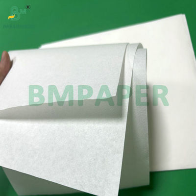 50 Gramm Bamboo Pulp Kaffeefilter Papier mit Jumbol Roll Breite 308mm Weiße Farbe