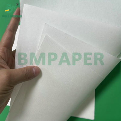 50 Gramm Bamboo Pulp Kaffeefilter Papier mit Jumbol Roll Breite 308mm Weiße Farbe