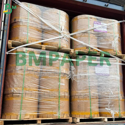 Einseitig glänzendes schwarzes Papier für Fruchtschutzbeutel
