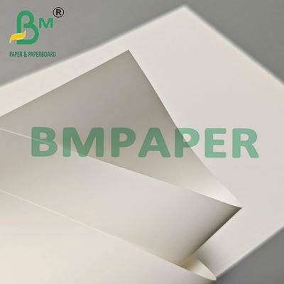 100mm umweltfreundliche PET-Synthetische Papierfolie für Außenwerbung