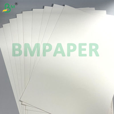Einseitige / doppelseitige PE-beschichtete Tasse Papierplatte 250g + 15gm für Schalen & Tassen