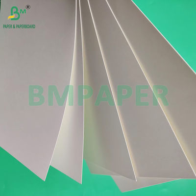 210 gm 230 gm 15 g PE Matte Beschichtung Weißes Becherpapier zur Herstellung von Kaffeetränken