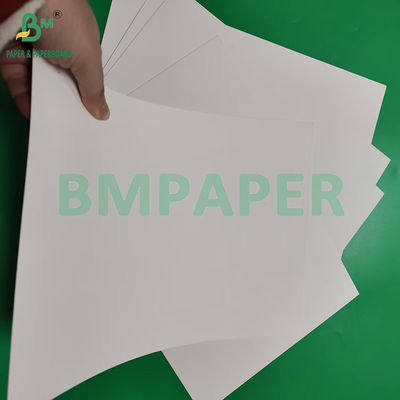 210 gm 230 gm 15 g PE Matte Beschichtung Weißes Becherpapier zur Herstellung von Kaffeetränken
