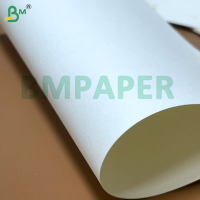 Nahrungsmittel-Nudelschale Papierplatte 700 mm x 1000 mm 200 g + 20 g PE beschichtet