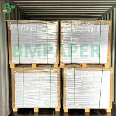 Nahrungsmittel-Nudelschale Papierplatte 700 mm x 1000 mm 200 g + 20 g PE beschichtet