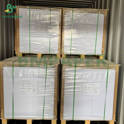230 g - 300 g Lebensmittel-PET-Tray Liner Rollen für Hochtemperaturöfen