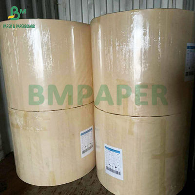 250g 300g Wasserfreies Plastik Papier Tassen Schalen Papier aus 100% Bambusfaser