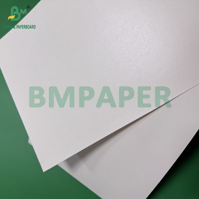 260 g 280 g + 10 g biologisch abbaubares, plastfreies, wasserdichtes Papier für Tassen und Schalen