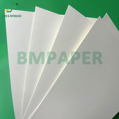 240g +15PE überzogen 1 Seite Cupstock Papier für Trinkbecher 31 x 43 Zoll Wasserdicht 100%