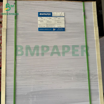 240g +15PE überzogen 1 Seite Cupstock Papier für Trinkbecher 31 x 43 Zoll Wasserdicht 100%