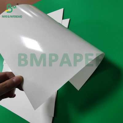 300 g PET-Laminat für Lebensmittel-Tray-Liner-Papierrollen mit hoher Temperatur 635 mm