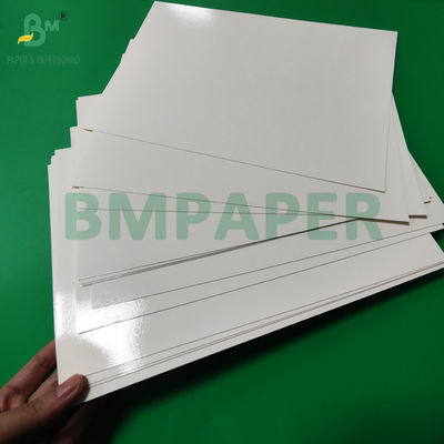300 g PET-Laminat für Lebensmittel-Tray-Liner-Papierrollen mit hoher Temperatur 635 mm