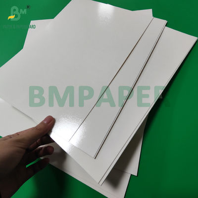 300 g PET-Laminat für Lebensmittel-Tray-Liner-Papierrollen mit hoher Temperatur 635 mm
