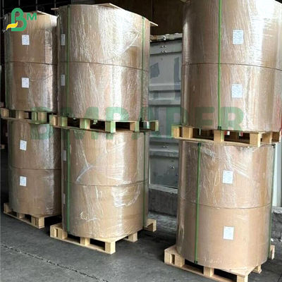 PET-Fettdicht Wasserdicht Weiß einseitig beschichtete Papierplatte 200 gm 300 gm 400 gm Für Mikrowellenschachteln Backwarenverpackung