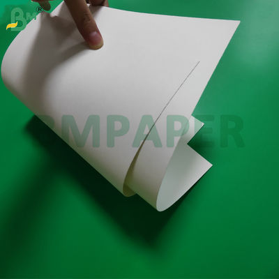 190 g/m² + 15 g PE-beschichtete Becherpapierrolle für Suppenboxen 865 mm 940 mm wasserdicht