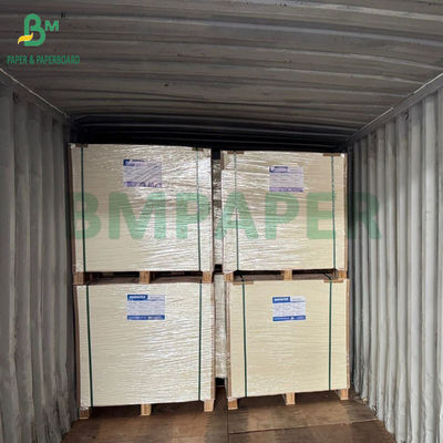 Hohe Steifigkeit 275 gm + 15 g PE beschichtetes Tiefkühlwarenverpackungspapier 635 x 902 mm