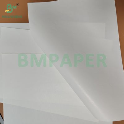 75 gm 80 gm Weiß einseitig glänzendes Nassfestigkeitspapier für Getränkeverpackungen