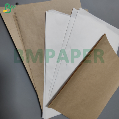 36gsm 40gsm Weißes & Braunes Glasfutter-Zwischenpapier 2450mm Schimmelfest
