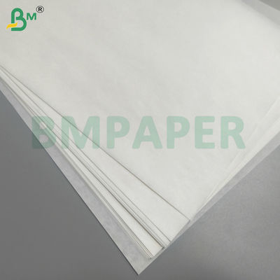 Frucht- und Gemüseschutzbeutel Papier wasserdicht Abseits von Schädlingen und Vögeln