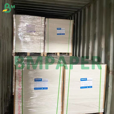 Einseitig beschichteter fettbeständiger Karton mit unbeschichtetem weißem Rücken 275 g/m²