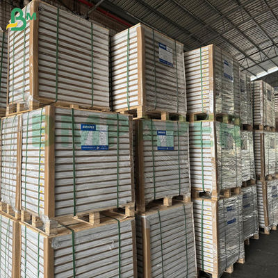 55 gm 60 gm Ncr Kohlenstofffreies Selbstkopierpapier Leerblatt 70x100cm 61x86cm