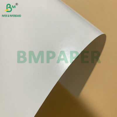 SBS Gefrorene PE-Pappe Beschichtet 325 gm Für die Herstellung von Gefrorenen Garnelen Verpackungskiste