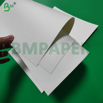 275g + 15g PE Coated Paper For Plate Tray Biodegradable 1000mm Food Safe