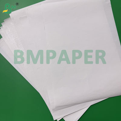 80gr Premium Thermopapierrollen 490mm für Kassenpapier