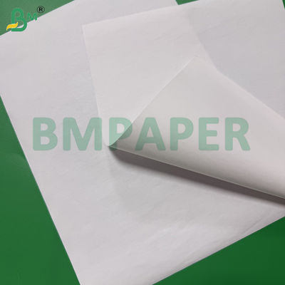 80gr Premium Thermopapierrollen 490mm für Kassenpapier