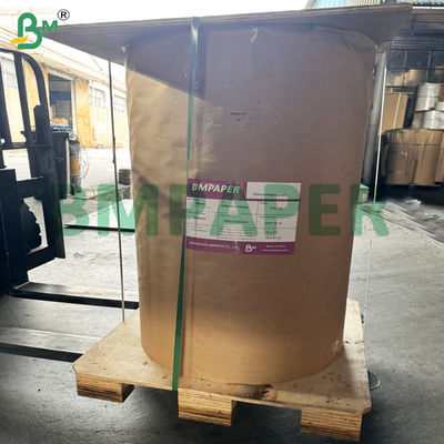 Grease Resistant Paper Plate Paper Material PET Coating Soak Proof