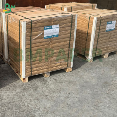 65 gm 75 gm unbeschichtetes Buchpapier aus Elfenbein für Broschüren 70 x 100 cm