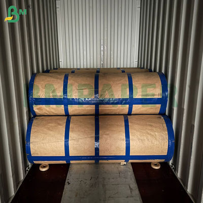 Greaseproof 80gsm 100gsm PE Coated Kraft Paper For Food Package 800mm 900mm