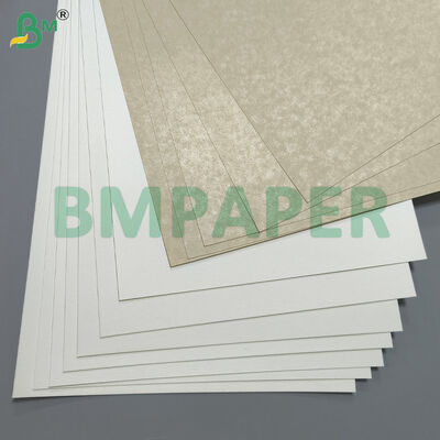 Lebensmittelechtes Schalen- und Geschirr-Spezialpapier / Plattenträgerpapier, PET-beschichtet