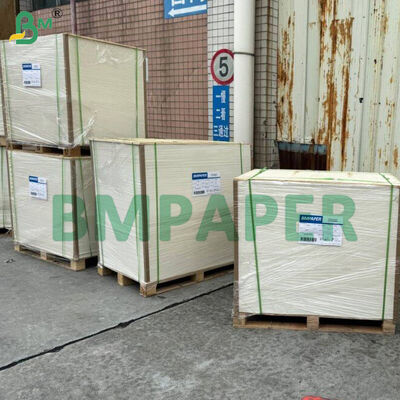 Lebensmittelechtes Schalen- und Geschirr-Spezialpapier / Plattenträgerpapier, PET-beschichtet