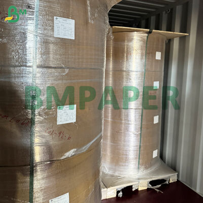 Lebensmittelechtes Schalen- und Geschirr-Spezialpapier / Plattenträgerpapier, PET-beschichtet