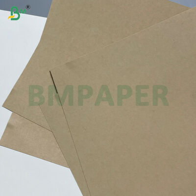 260GSM+ 18GSM FDA-abbaubares Bambus-Kraftpapier mit PE/PLA-beschichtetem Becherpapier
